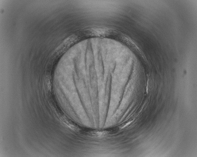 X0000061150313200512161602