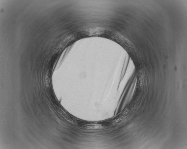 X0000061150316200512161602