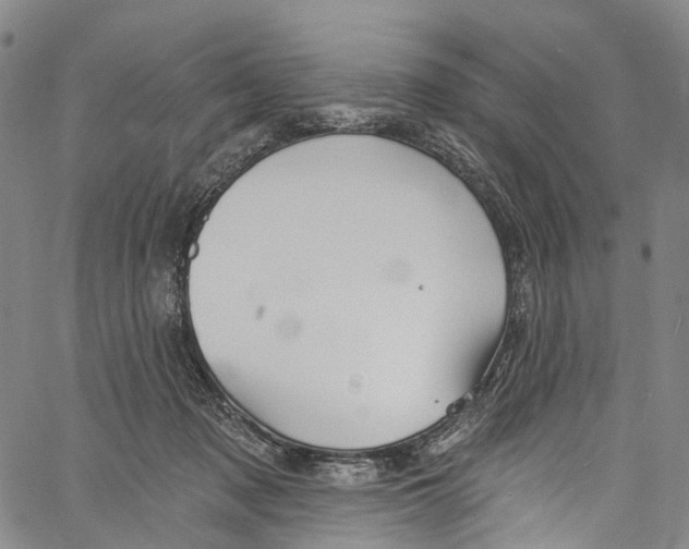 X0000061150317200512161602