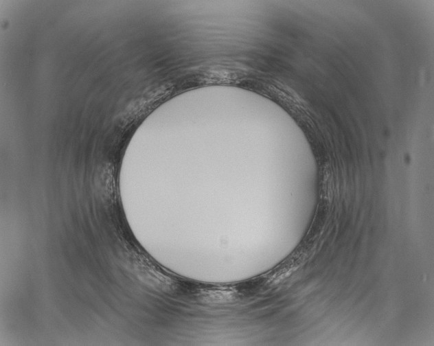 X0000061150318200512161602