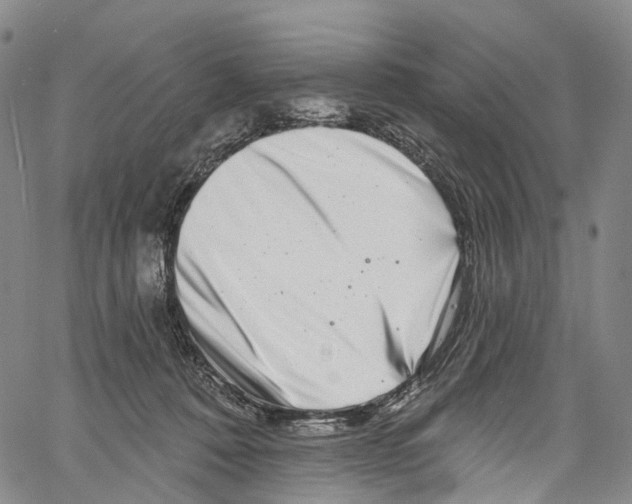 X0000061150320200512161602