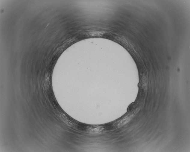 X0000061150321200512161602