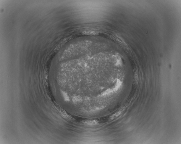 X0000061150322200512161602