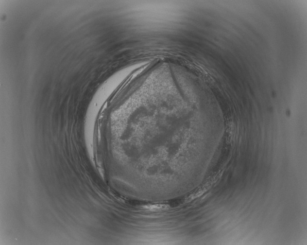 X0000061150323200512161602