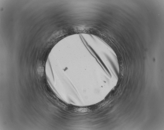 X0000061150324200512161602