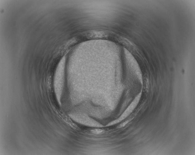 X0000061150326200512161602