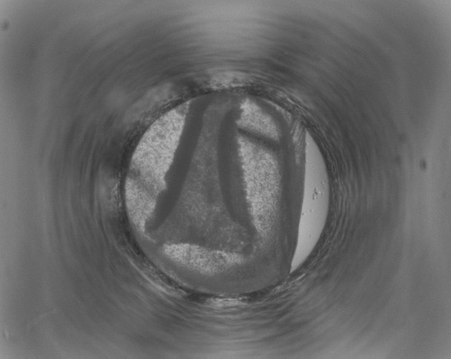 X0000061150327200512161602