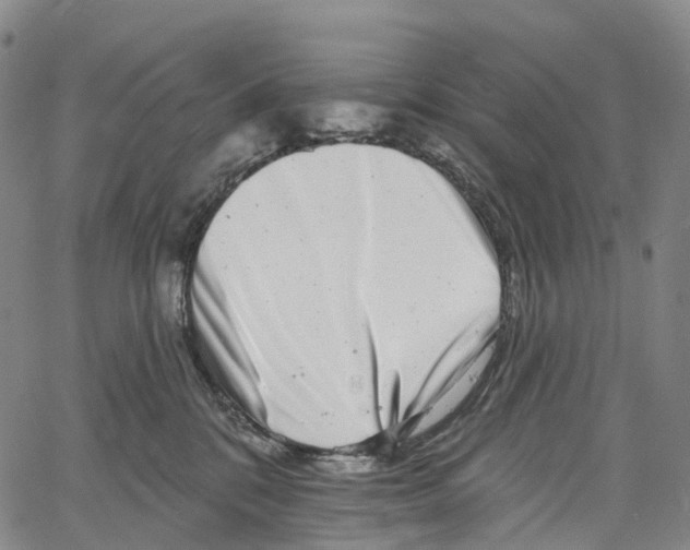 X0000061150328200512161602