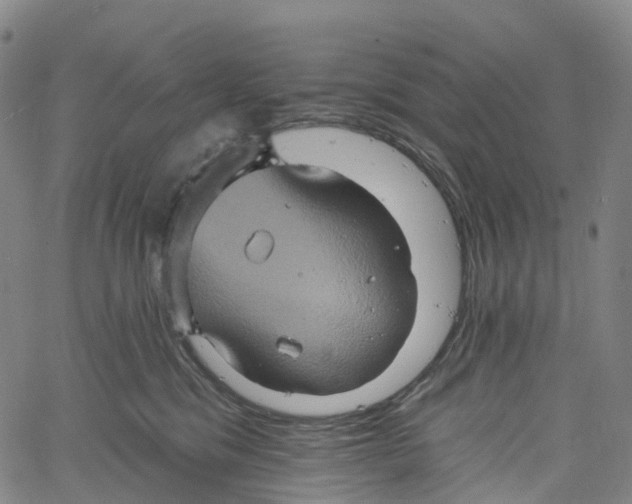 X0000061150329200512161602