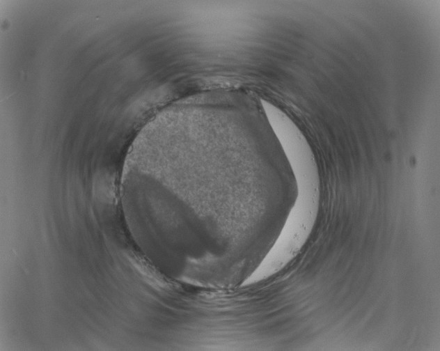 X0000061150331200512161602