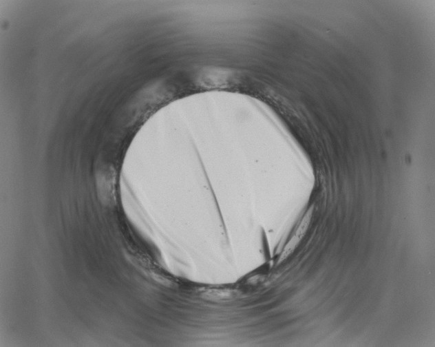 X0000061150332200512161602