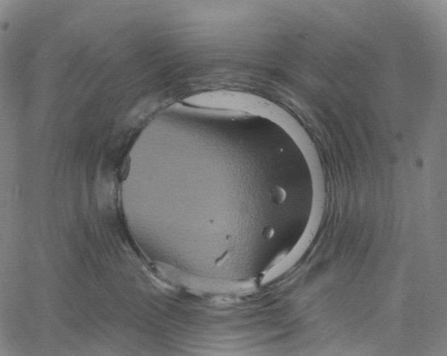 X0000061150333200512161602