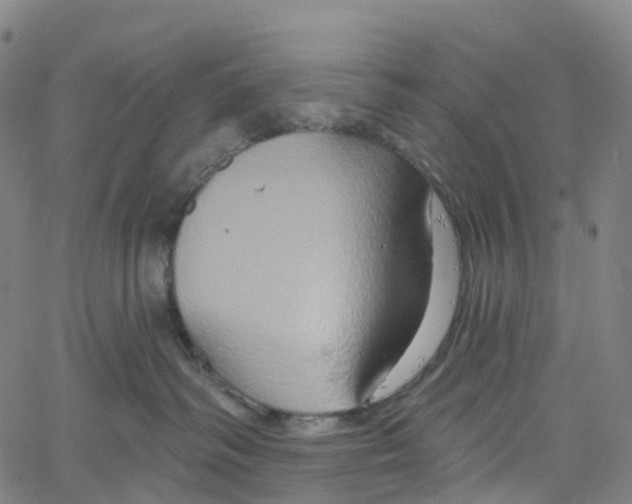 X0000061150334200512161602