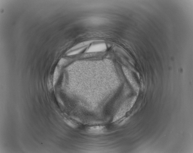 X0000061150335200512161602