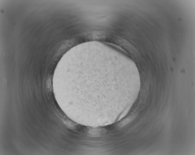 X0000061150336200512161602