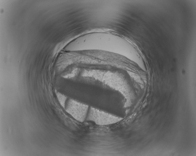 X0000061150337200512161601