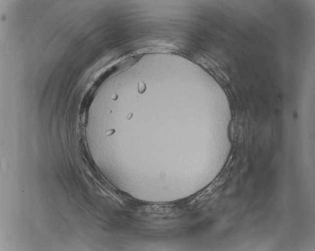 X0000061150338200512161601