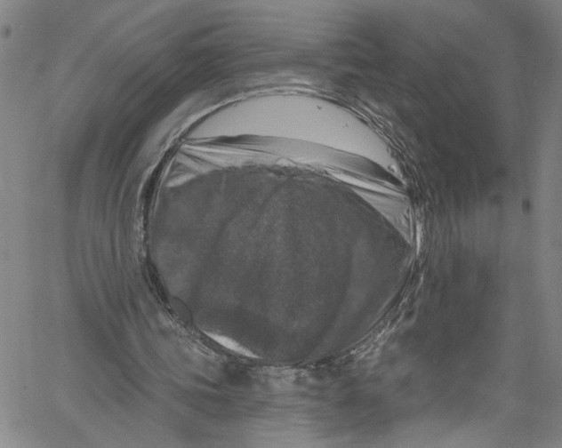 X0000061150339200512161601