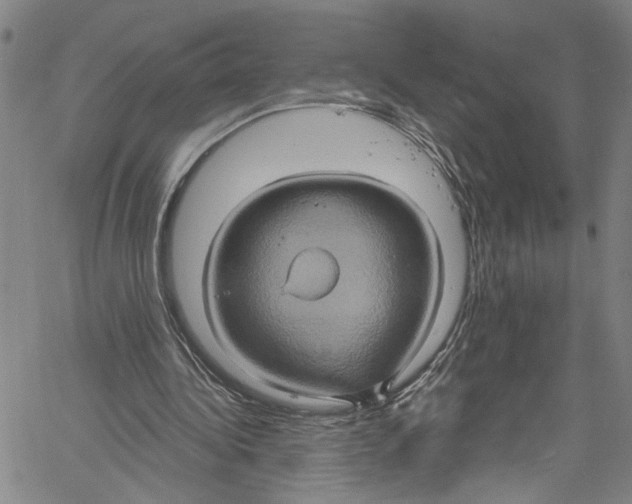 X0000061150340200512161601