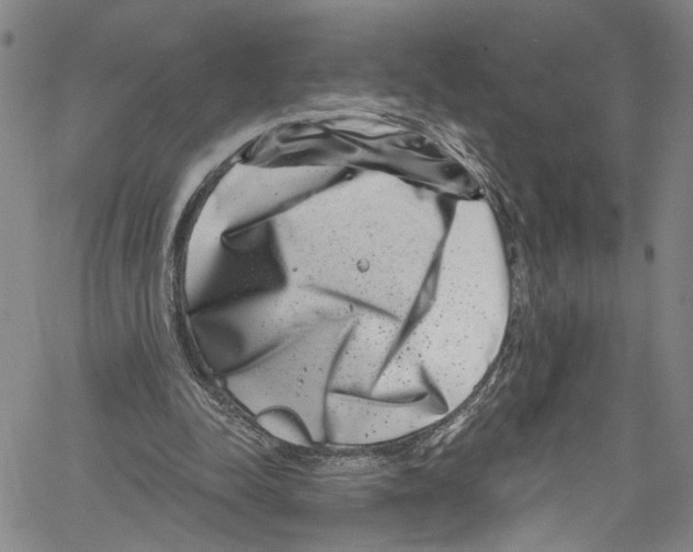 X0000061150342200512161601