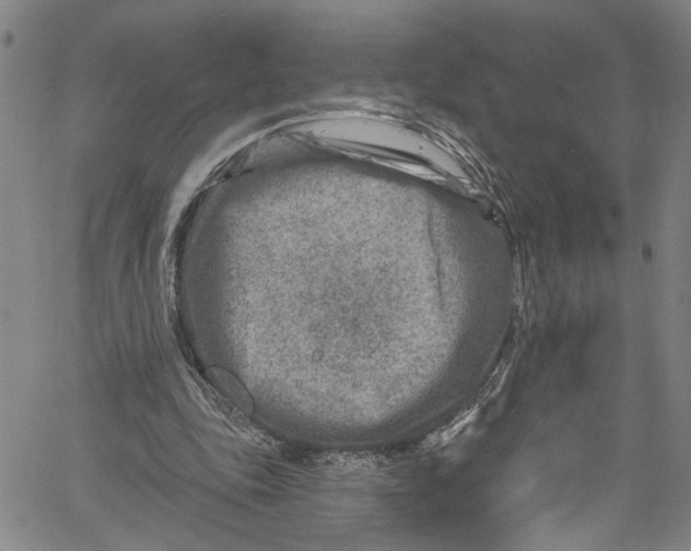 X0000061150343200512161601