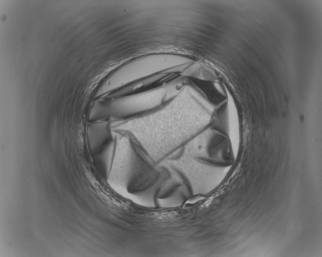 X0000061150345200512161601