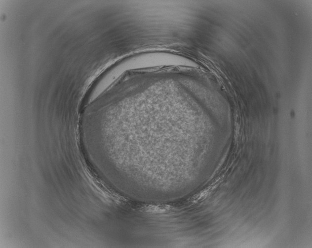 X0000061150346200512161601