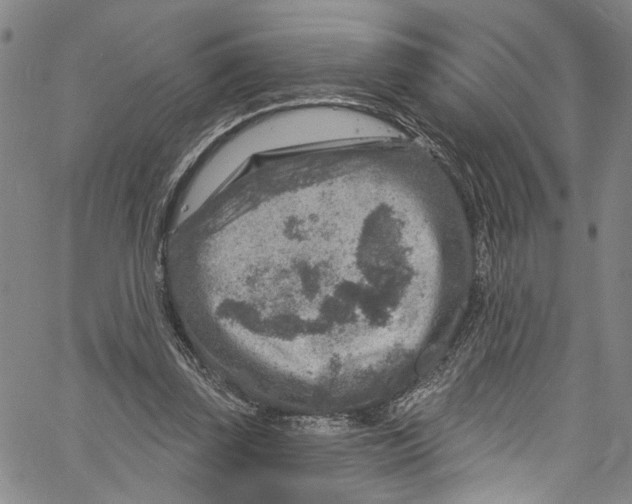 X0000061150347200512161601