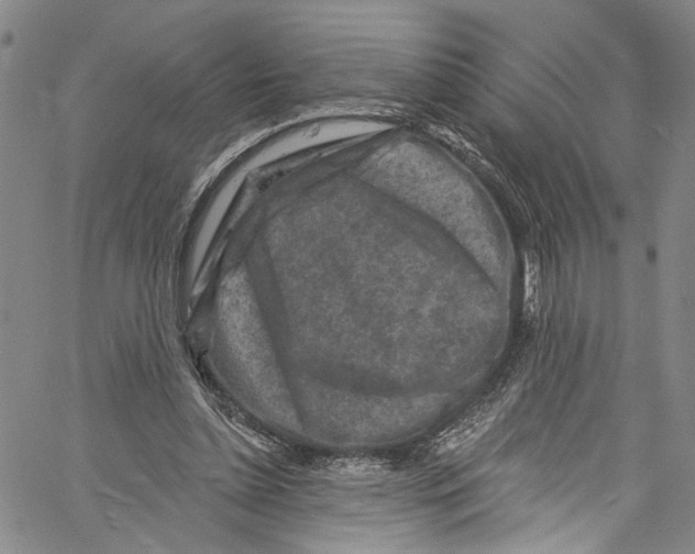 X0000061150348200512161601