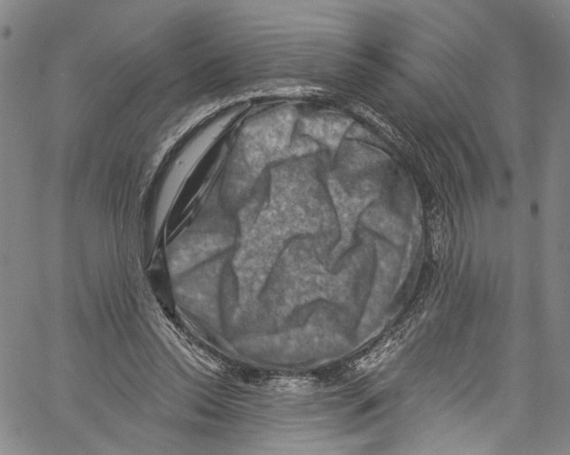 X0000061150350200512161601