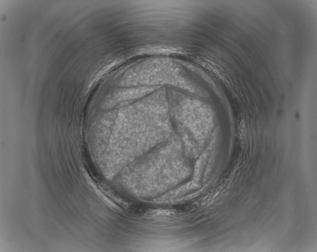 X0000061150352200512161601