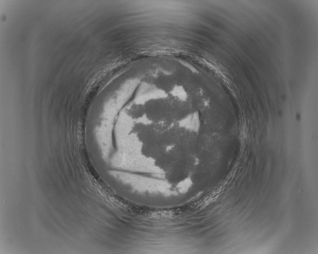 X0000061150353200512161601