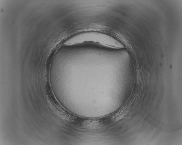 X0000061150354200512161601