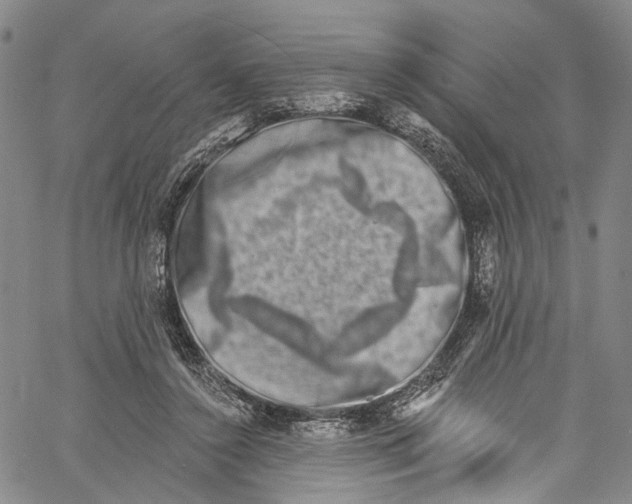 X0000061150356200512161601