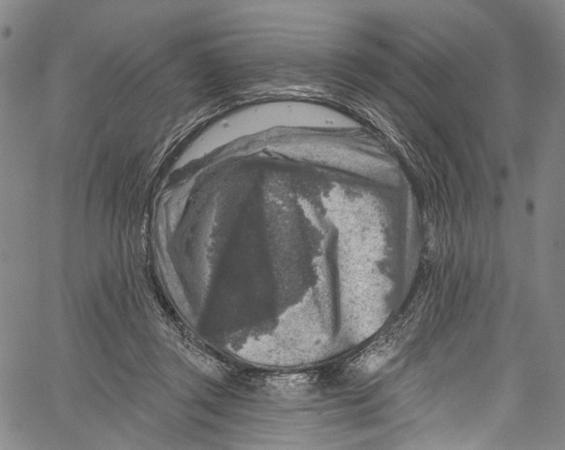 X0000061150357200512161601