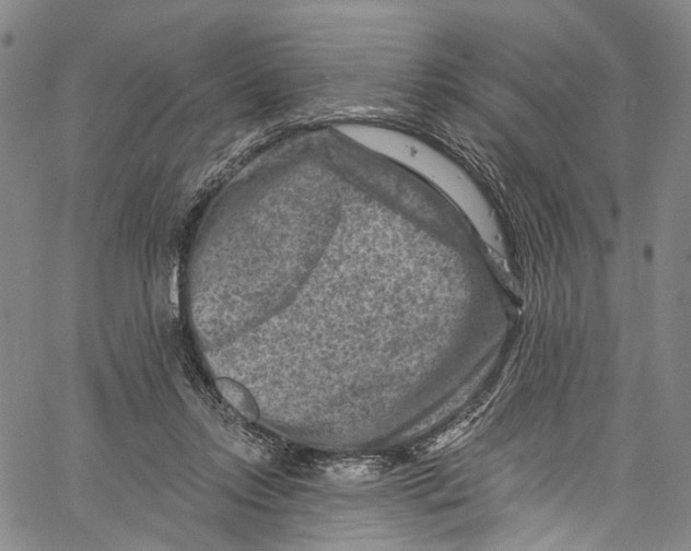 X0000061150358200512161601