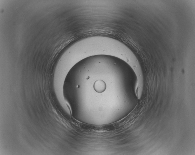 X0000061150360200512161601