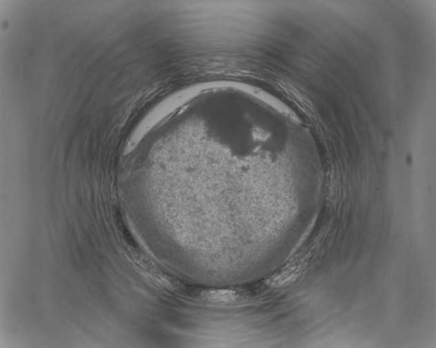 X0000061150361200512161601