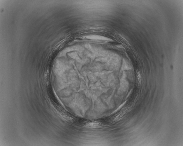 X0000061150364200512161601