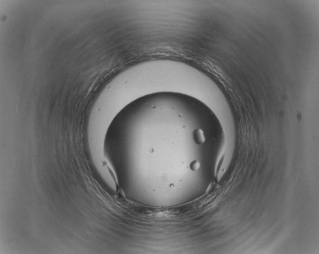 X0000061150365200512161601