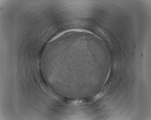 X0000061150366200512161601