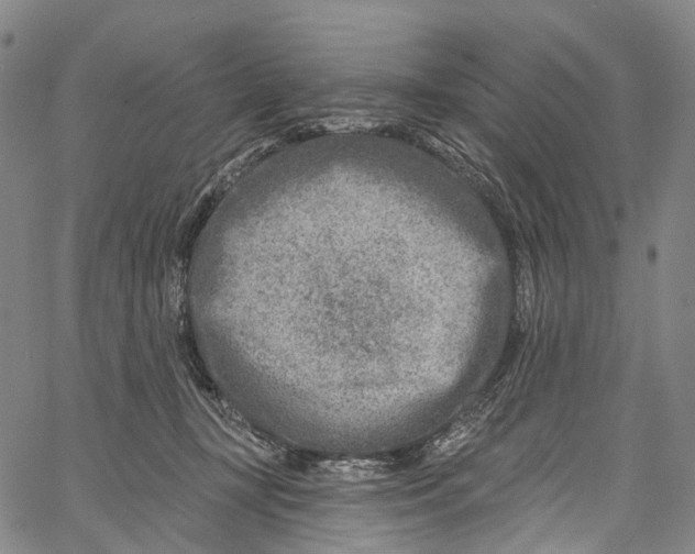 X0000061150367200512161601