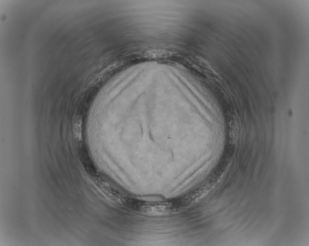 X0000061150368200512161601