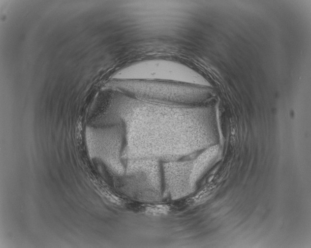 X0000061150369200512161601