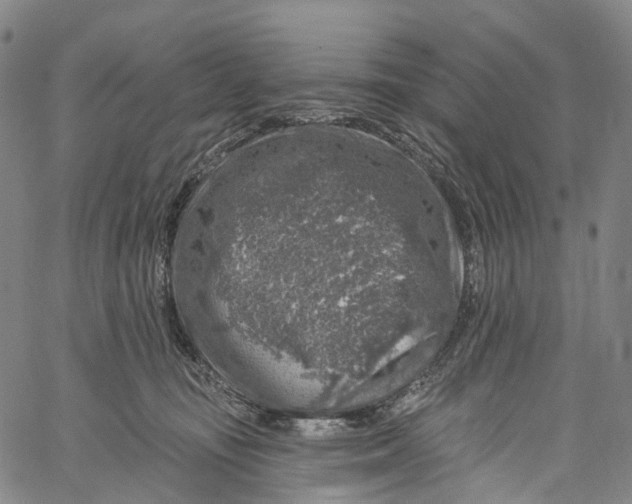 X0000061150371200512161601