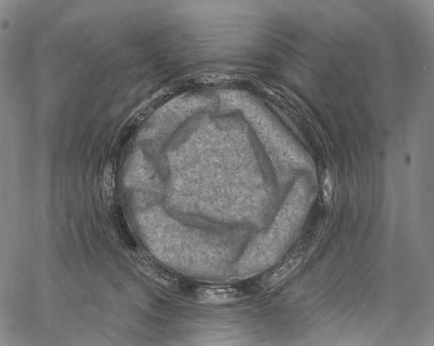 X0000061150372200512161601