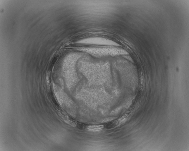 X0000061150373200512161601