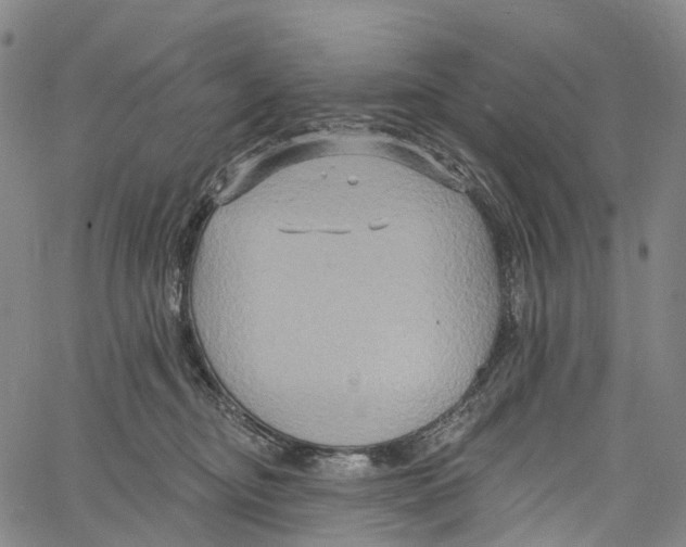 X0000061150374200512161601