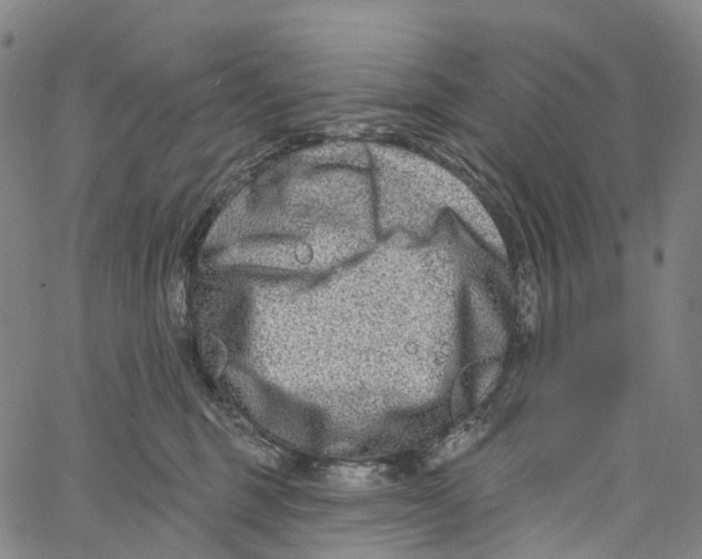 X0000061150375200512161601