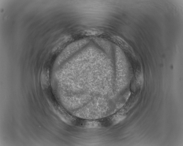 X0000061150376200512161601